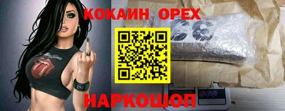 сатива Моздок