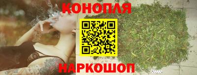 сатива Моздок