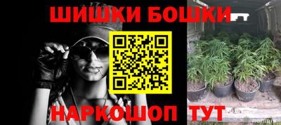 сатива Моздок