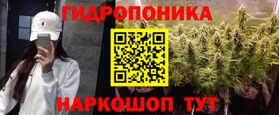 сатива Моздок