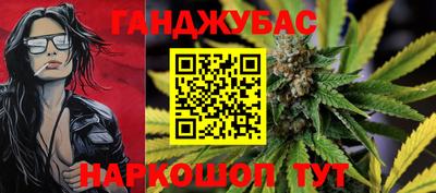 сатива Моздок
