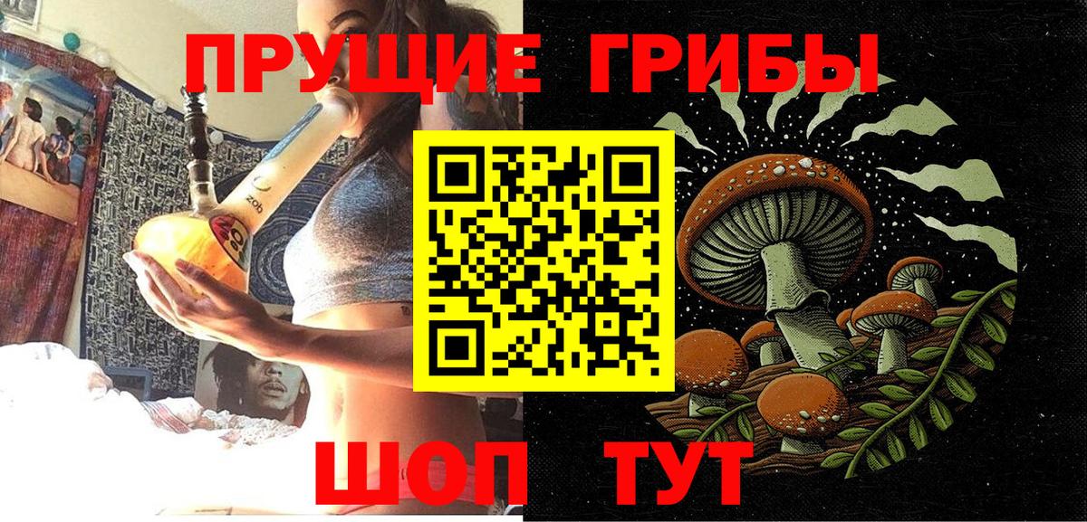 наркота  Вход с VPN  Гатчина  Псилоцибиновые грибы Magic Shrooms 