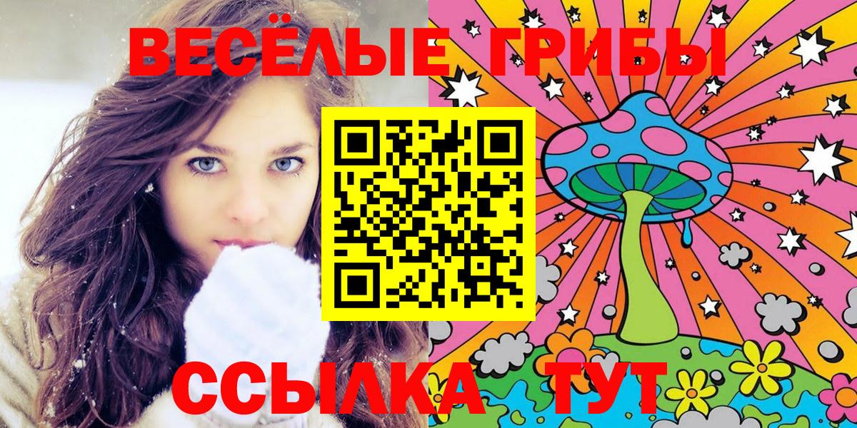 Псилоцибиновые грибы ЛСД Гатчина